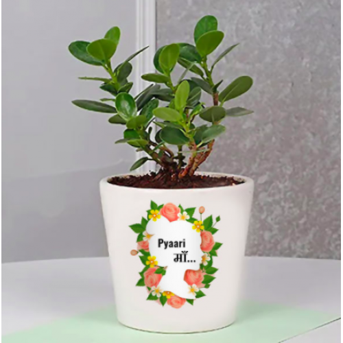 Green Gift For Mom